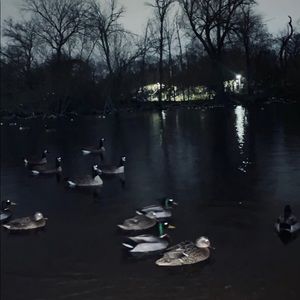 Meet your Posher, Ivan